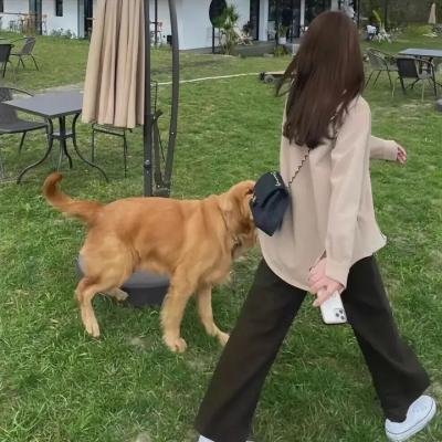 岳父的反击